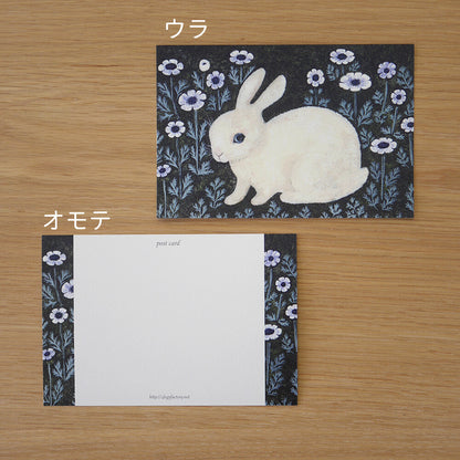 Rabbit and Anemone - 4Legs postcards