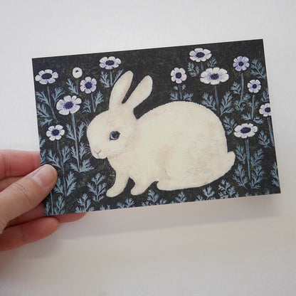 Rabbit and Anemone - 4Legs postcards