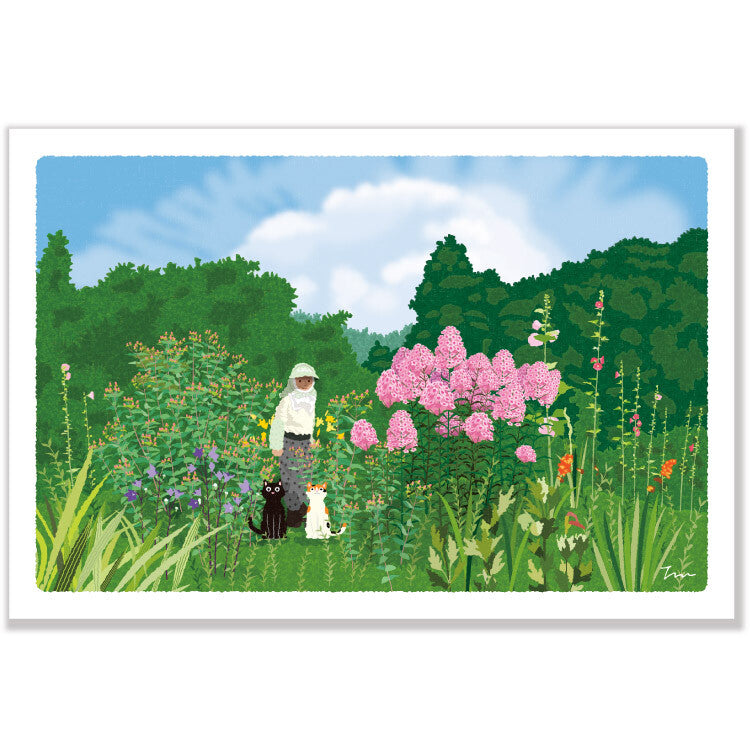 Summer farm and hydrangea - Traveling Cat