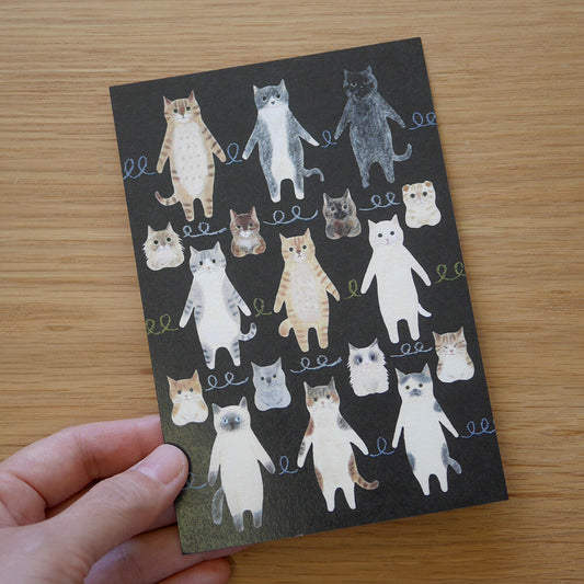 Cat connection - 4legs postcards