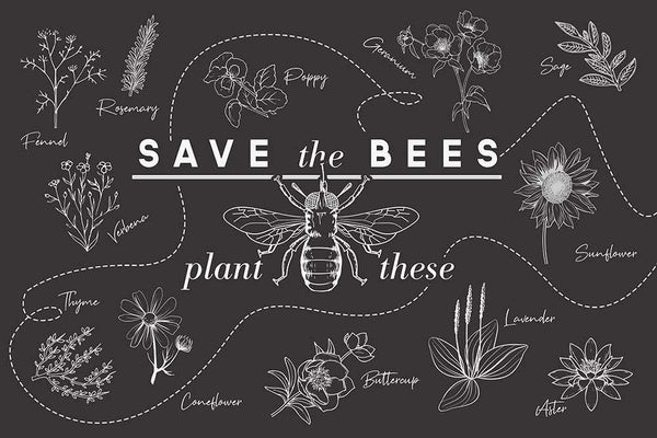 Save the Bees - Plant These - Lantern Press Postcard