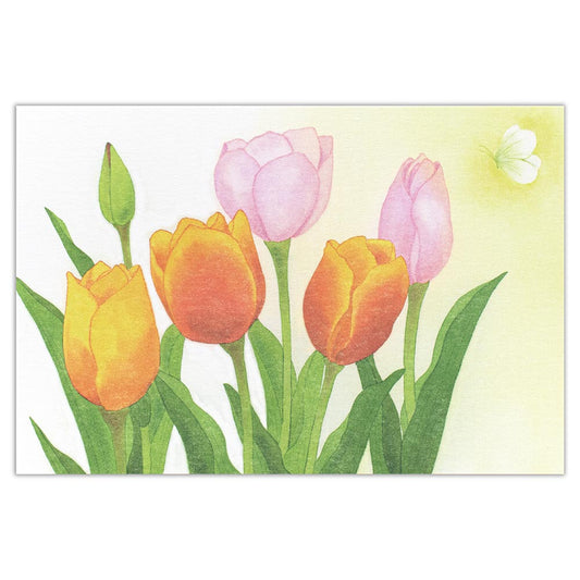 Tulips - NB.co postcard