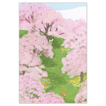 Cherry Blossom - NB.co postcard