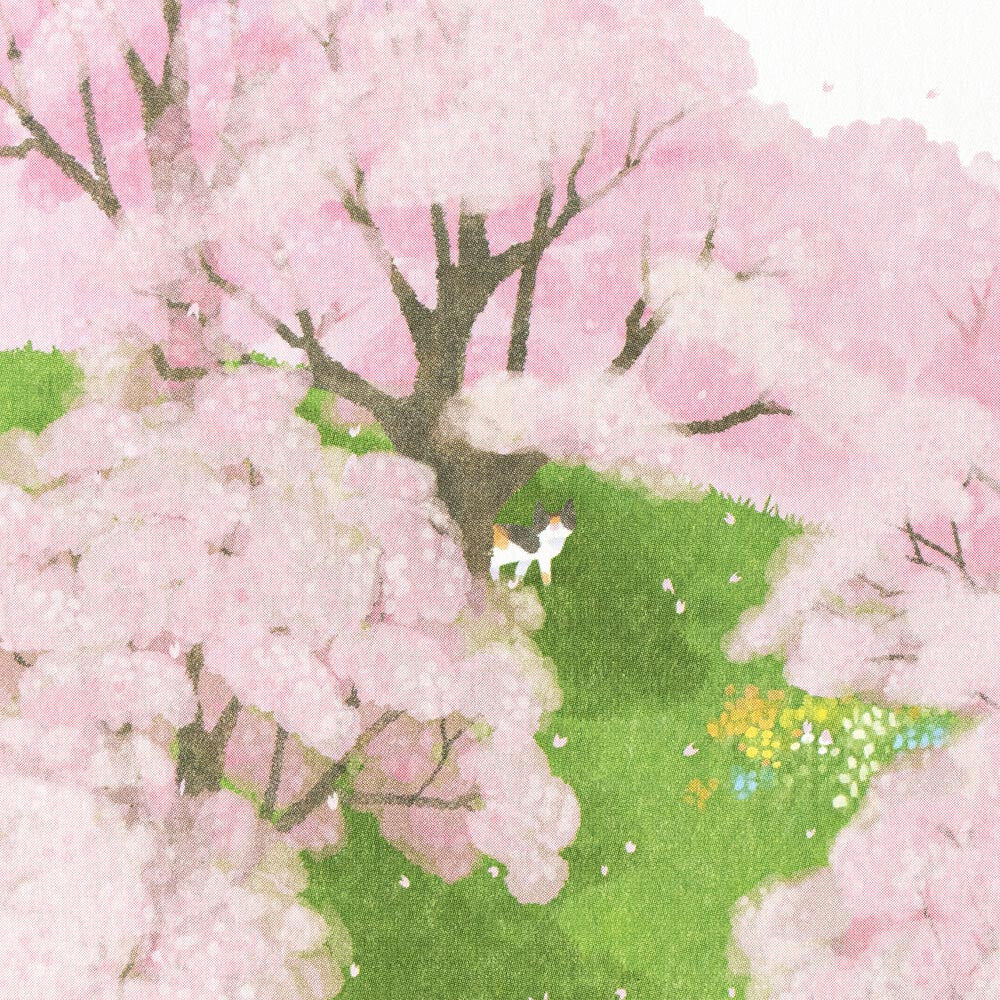 Cherry Blossom - NB.co postcard