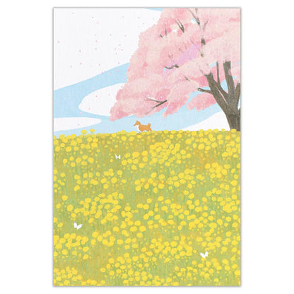 Spring and Shiba Inu - NB.co postcard