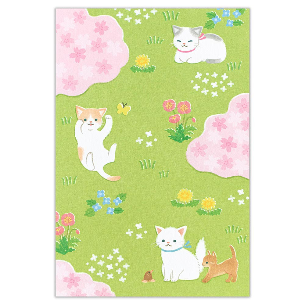 Spring and Cats - NB.co postcard