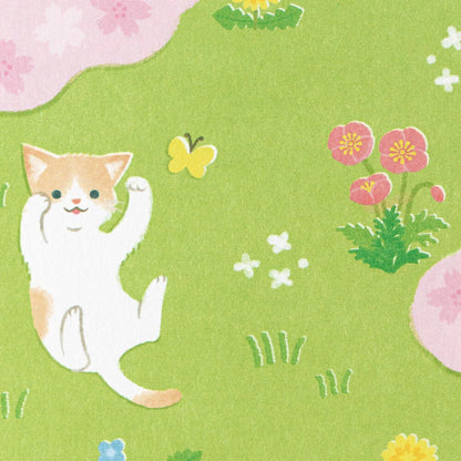 Spring and Cats - NB.co postcard