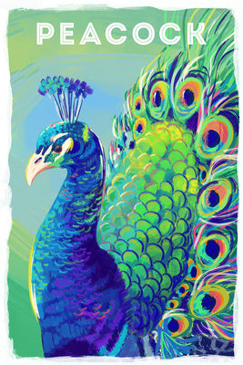 Peacock - Vivid - Lantern Press Postcard