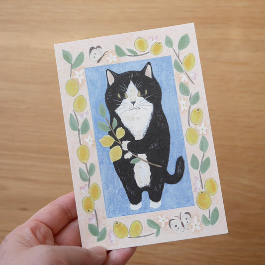 Tuxedo cat - Cat in a picture book series- 4Legs postcards