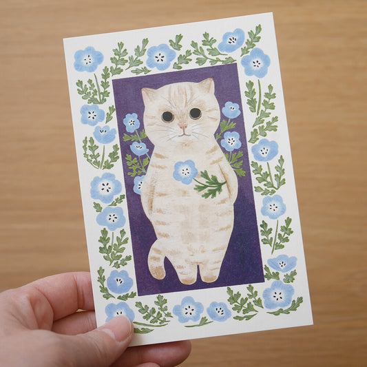 Cream Color Cat - Cat in a picture book series- 4Legs postcards