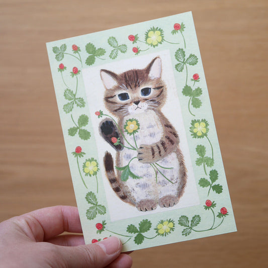 Kitten - Cat in a picture book series- 4Legs postcards