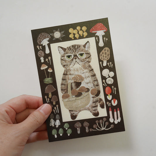 Exotic Shorthair Cat - Cat in a picture book series- 4Legs postcards