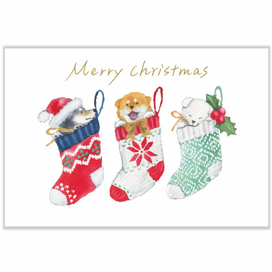 Shiba Inu and Christmas Socks- Natsuka Murata Postcard