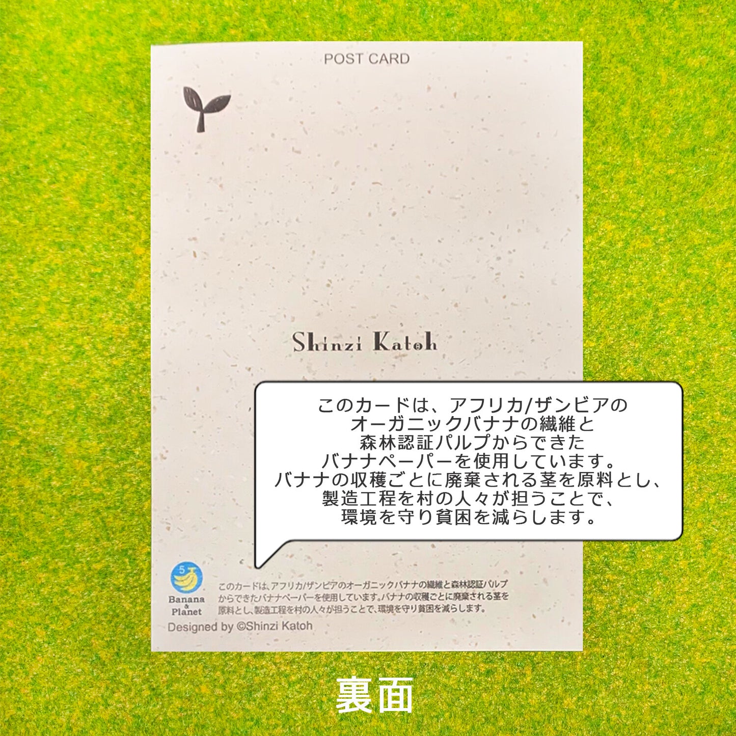 Endangered Birds - Endangered Species Series - Shinzi Katoh Postcard