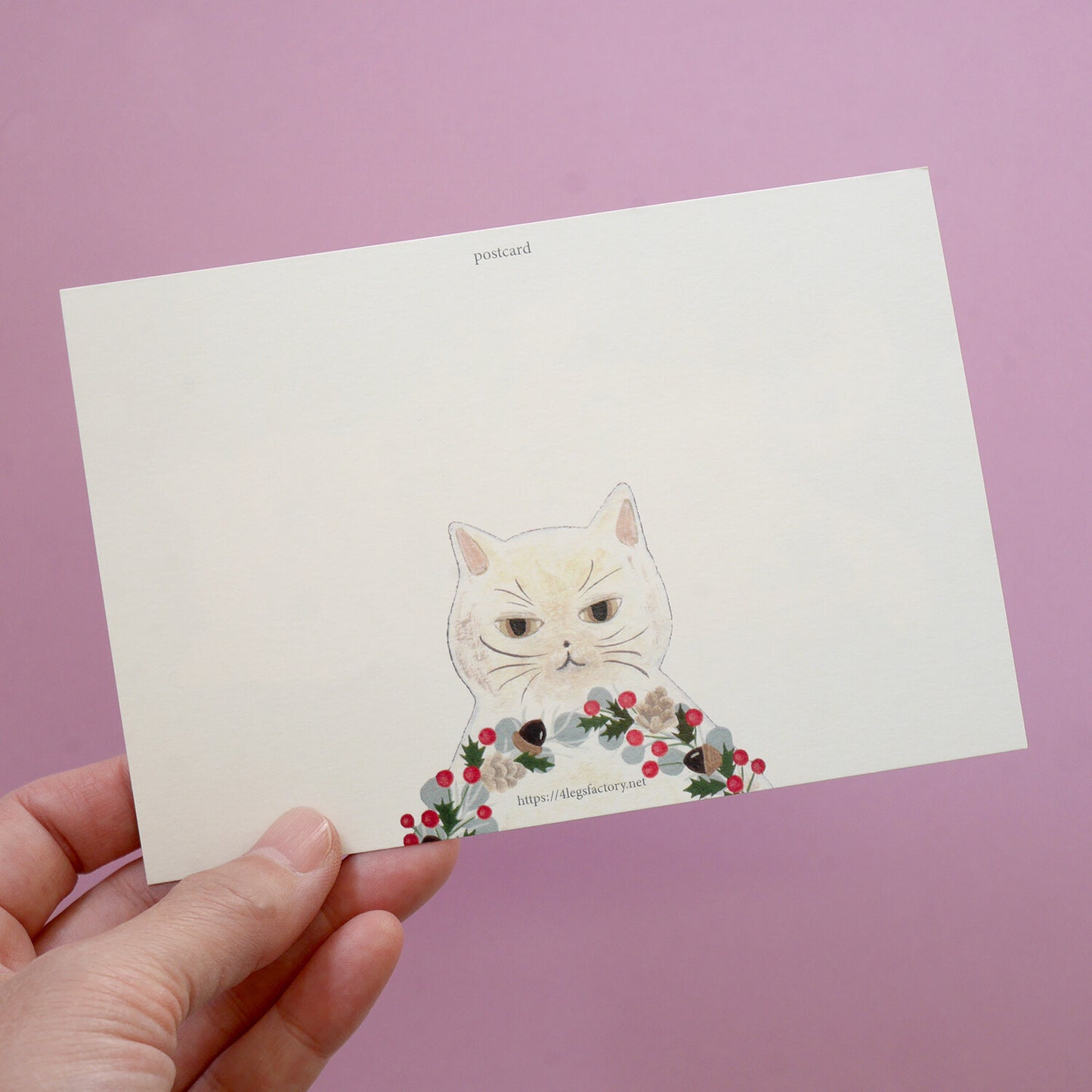 Cat's Christmas- 4Legs postcards