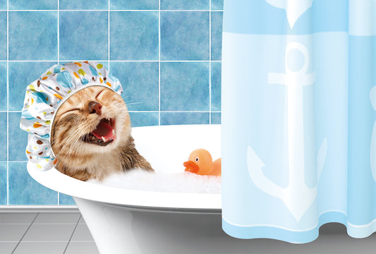 Bath Time Cat - Frontia postcard