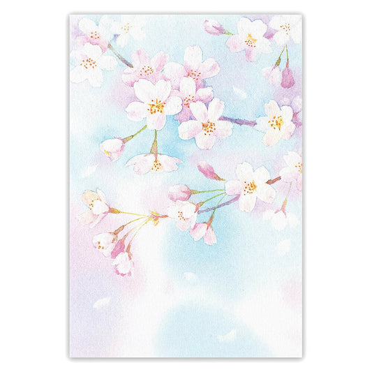 News of Cherry Blossoms - NB.co postcard