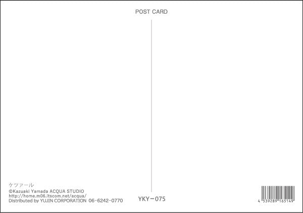 Quetzal - Kazuaki Yamada Postcard