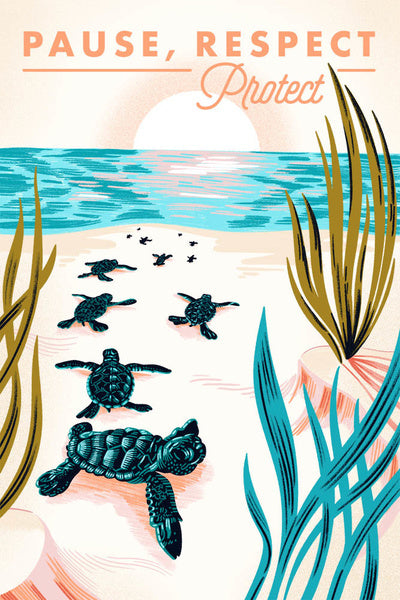 Courageous Explorer Collection - Turtles on Beach, Pause Respect Protect - Lantern Press Postcard