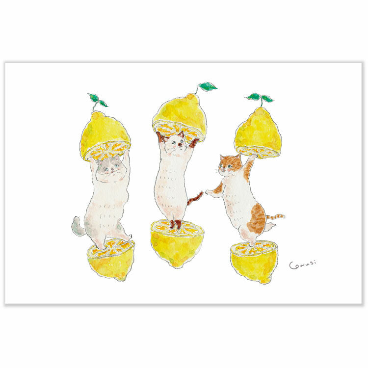 Lemon kitten - Tokorokomugi postcard