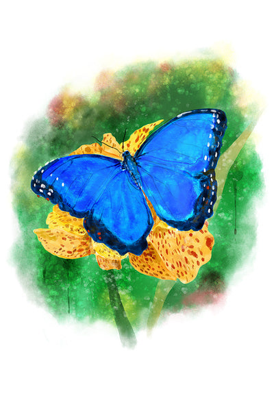 Blue Morpho Butterfly - Watercolor - Lantern Press Postcard