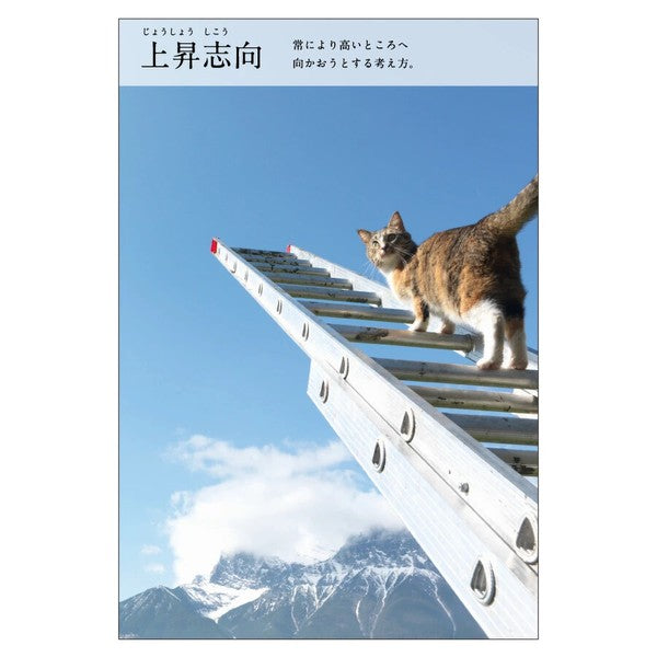 Ascending - Nyan Cat Four Chinese Idioms(にゃんこ四字熟語辞典)