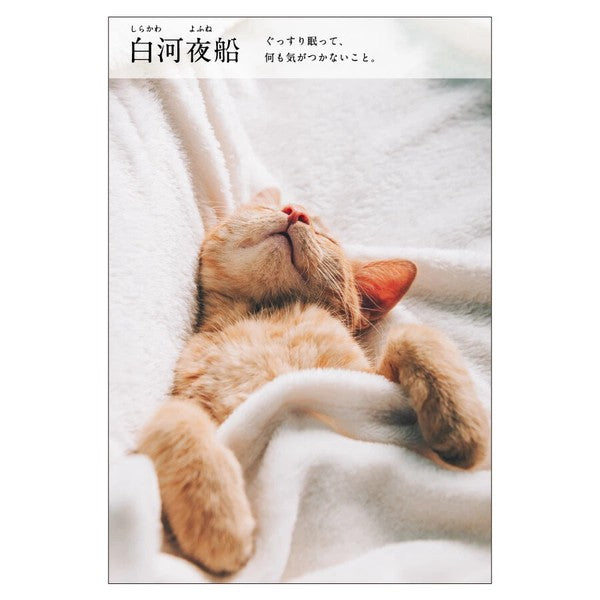 Shirakawa Night Boat - Nyan Cat Four Chinese Idioms(にゃんこ四字熟語辞典)