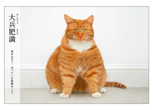 Daiheibei obese - Nyan Cat Four Chinese Idioms(にゃんこ四字熟語辞典)