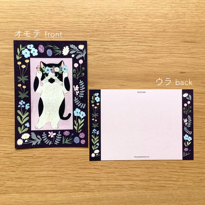 Bull Cat - Cat in a picture book series- 4Legs postcards