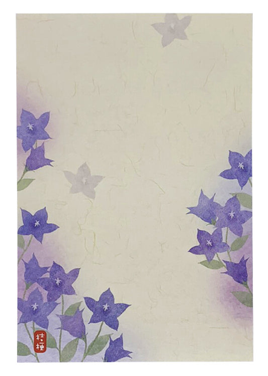 blue-purple flowers - autumn postcard