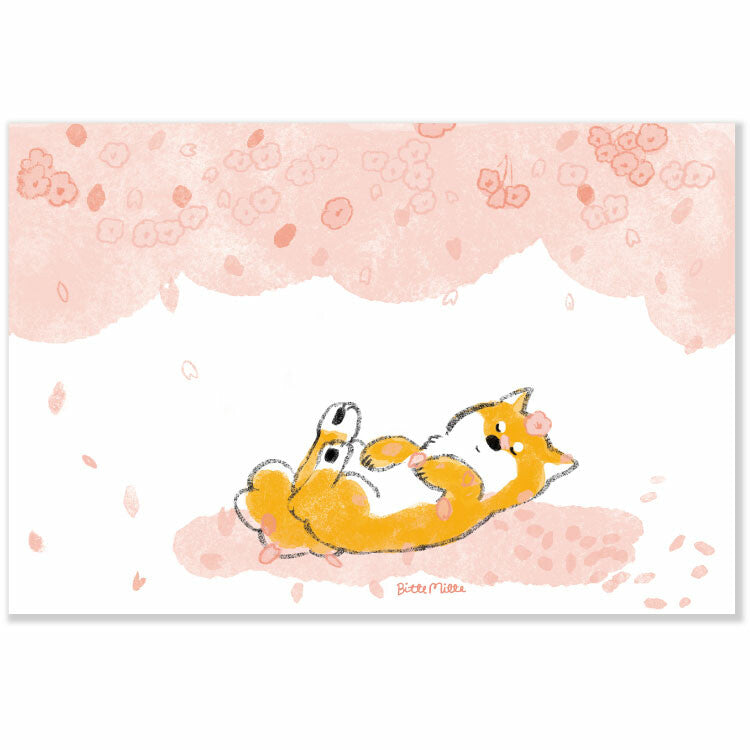 Shiba Inu and cherry blossoms in full bloom - Momoro Postcard