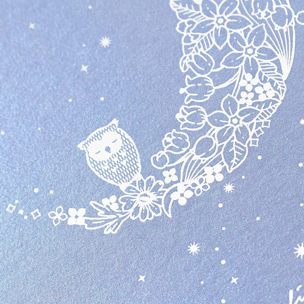 The Moon and the Owl - pearlescent postcard - NB.co