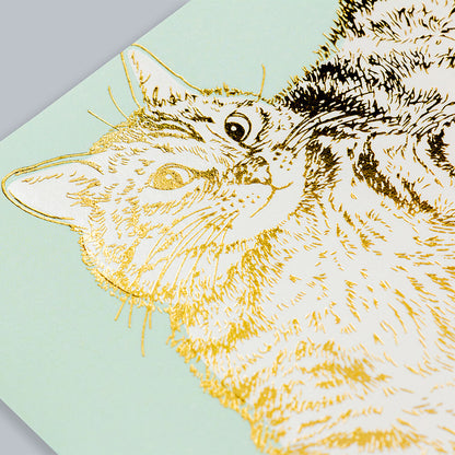 Cat Roll - ROKKAKU x 365 Cats.Art postcard