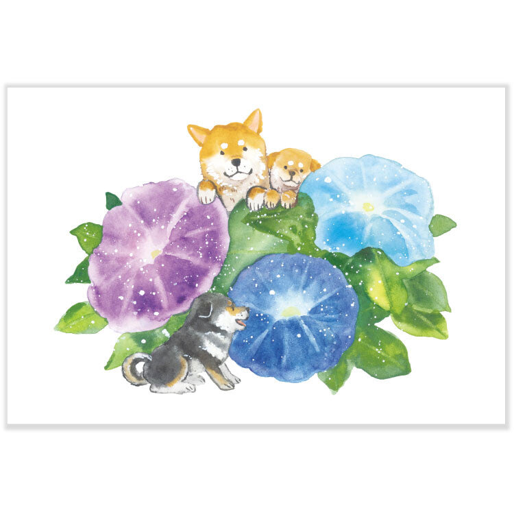 Shiba Inu and Morning Glory - Natsuka Murata Postcard