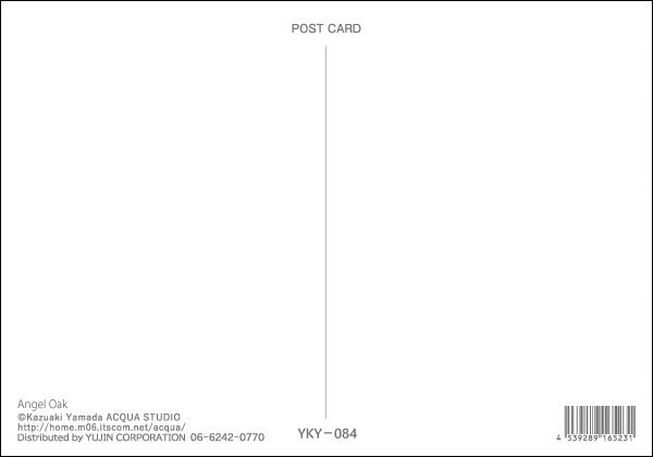 Angel Oak - Kazuaki Yamada Postcard