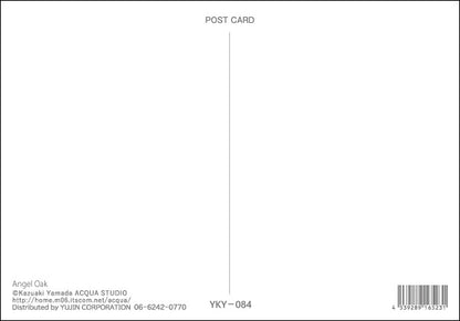 Angel Oak - Kazuaki Yamada Postcard