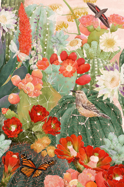 Desert Blooms - Lantern Press Postcard