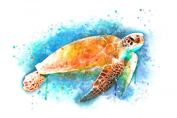 Sea Turtle - Watercolor - Lantern Press Postcard