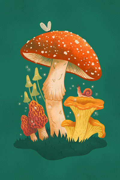 Mushroom Cluster - Lantern Press Postcard