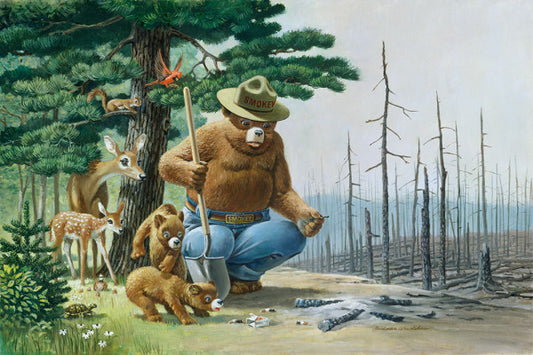 Smokey Bear - The Evidence - Lantern Press Postcard