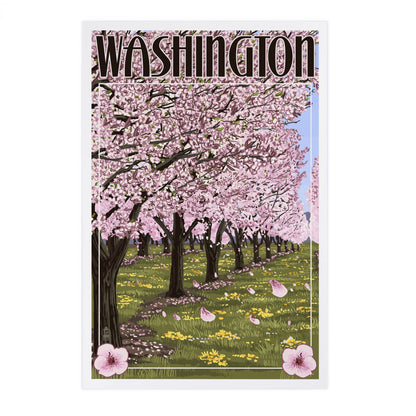 Washington, Cherry Tree Blossoms - Lantern Press Postcard