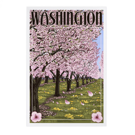 Washington, Cherry Tree Blossoms - Lantern Press Postcard