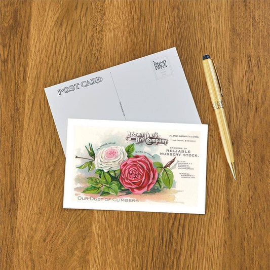 Rose Stock Advertisement - Found Image postcard