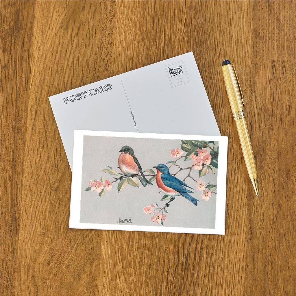 Bluebirds - Found Image postcard