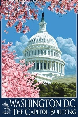 Washington DC - Capitol Building and Cherry Blossoms - Lantern Press Postcard