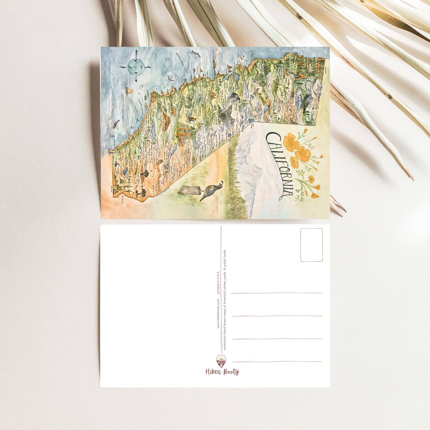 California State Map - Hiker Booty  Postcard