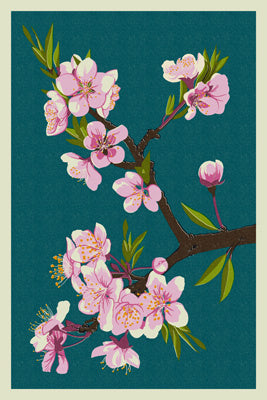 Cherry Blossoms - Letterpress - Lantern Press Postcard