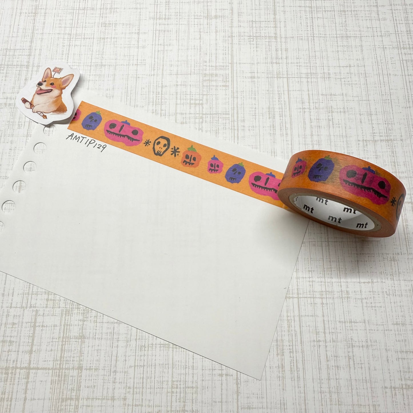 沉默对决 - 55cm sampler - mt DIRECT- mt masking tape (exhibition limited edition)