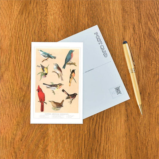 Common American Songbirds - Found Image postcard