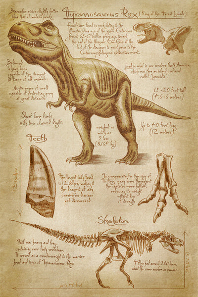 Tyrannosaurus Rex Dinosaur - Da Vinci Style